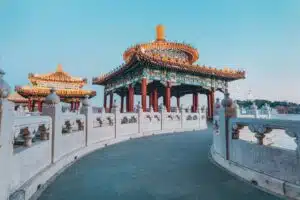 Tee aus Taiwan kaufen