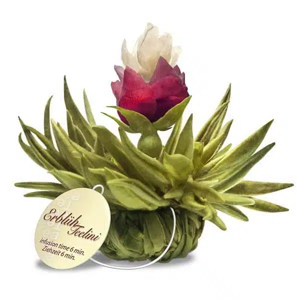 Aromatische vier kleine Teeblumen für die Tasse – Bild 5