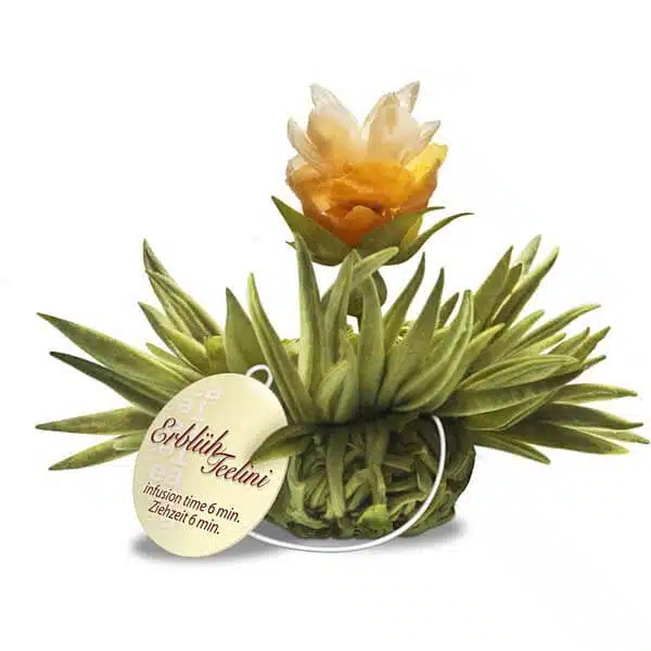 Aromatische vier kleine Teeblumen für die Tasse – Bild 3