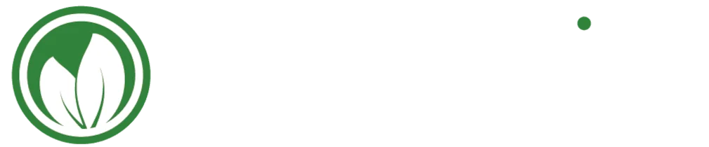 Teelandia I Tee Online-Shop